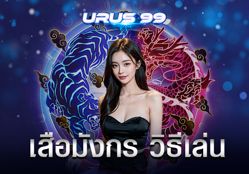เสือมังกร วิธีเล่น