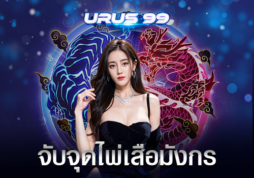 จับจุดไพ่เสือมังกรออนไลน์