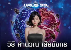 วิธี-คำนวณ-เสือมังกร