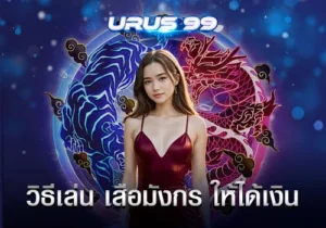 วิธีเล่น เสือมังกร ให้ได้เงิน